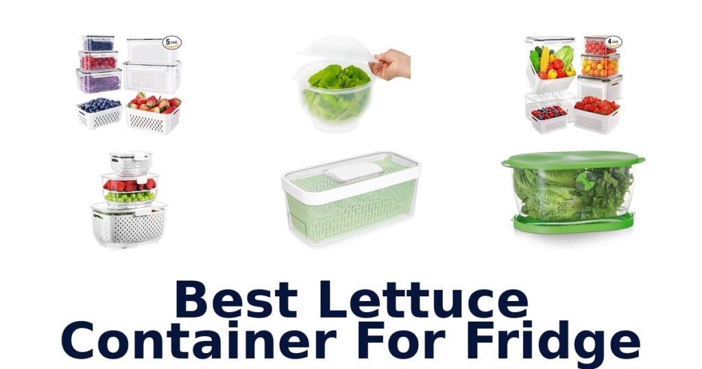 best lettuce container for fridge