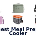 best meal prep cooler