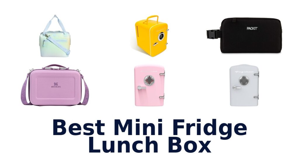 best mini fridge lunch box