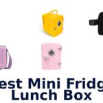 best mini fridge lunch box