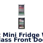 best mini fridge with glass front door