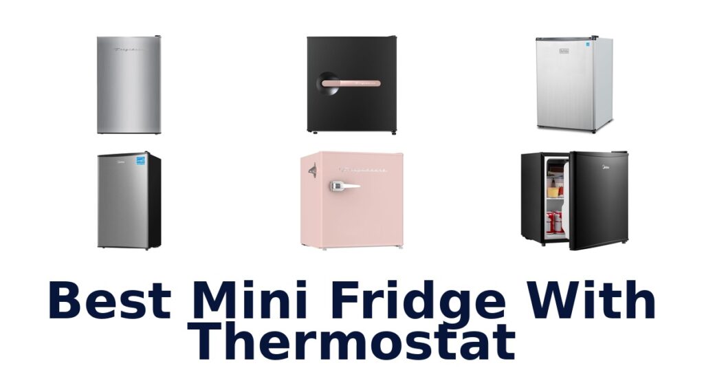best mini fridge with thermostat