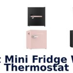 best mini fridge with thermostat