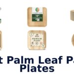 best palm leaf party plates