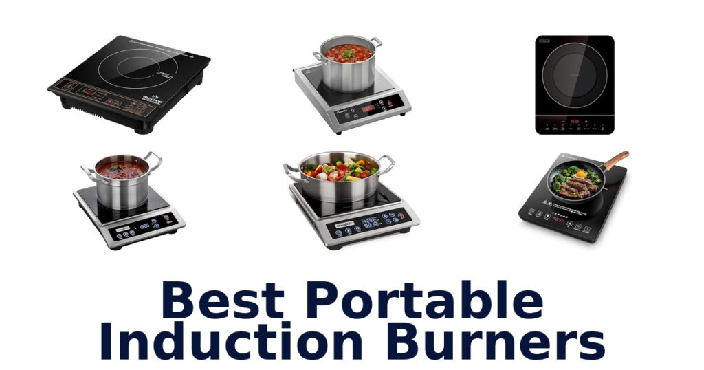 best portable induction burners