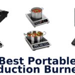 best portable induction burners