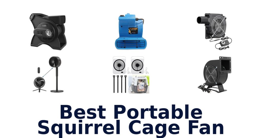 best portable squirrel cage fan