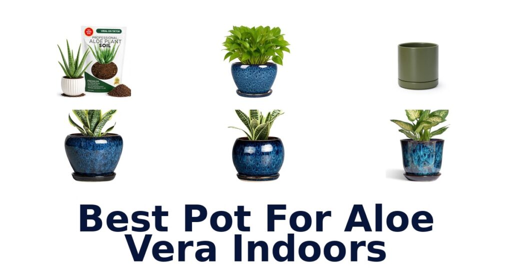 best pot for aloe vera indoors