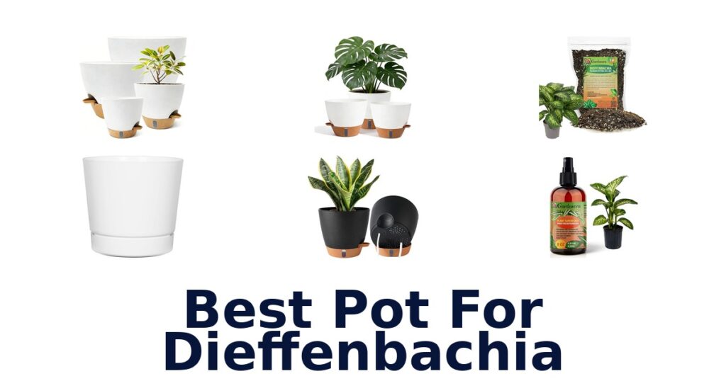 best pot for dieffenbachia