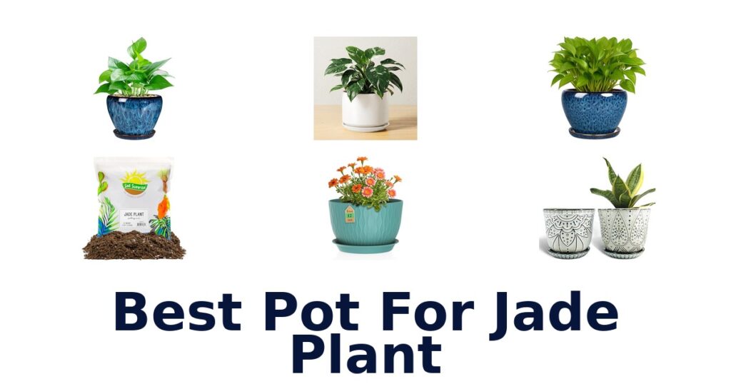 best pot for jade plant