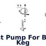 best pump for beer keg