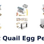 best quail egg peeler
