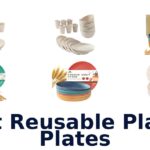 best reusable plastic plates