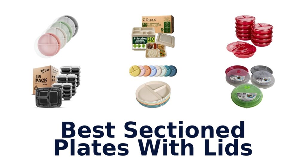 best sectioned plates with lids