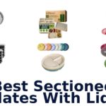 best sectioned plates with lids