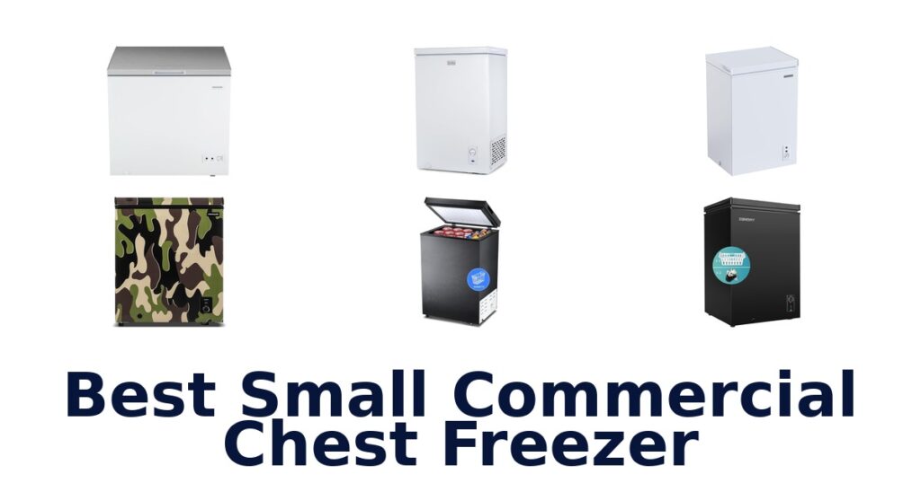 best small commercial chest freezer