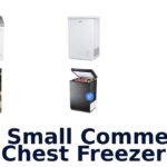 best small commercial chest freezer