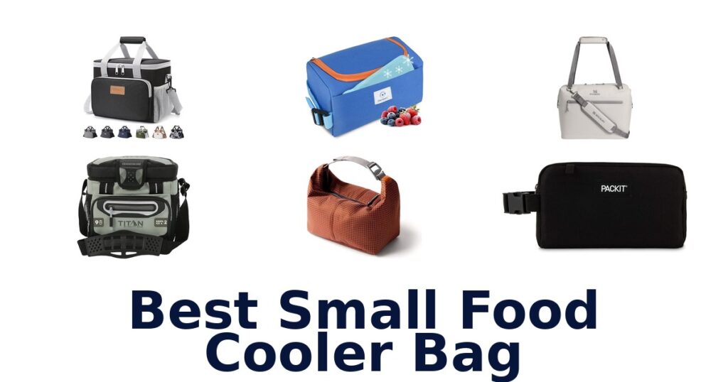 best small food cooler bag