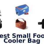 best small food cooler bag