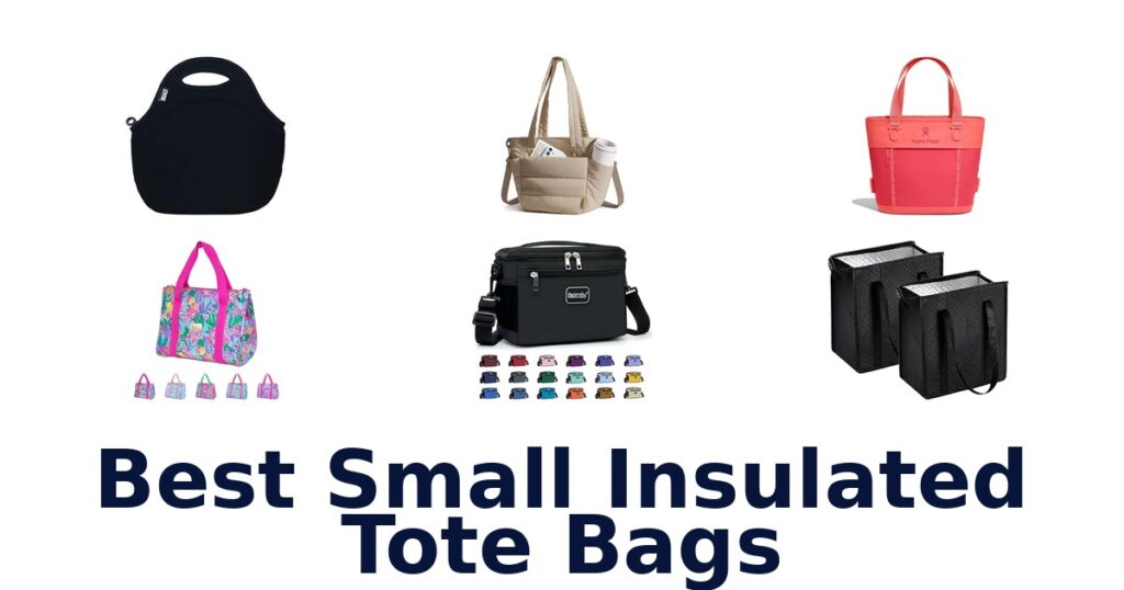 best small insulated tote bags