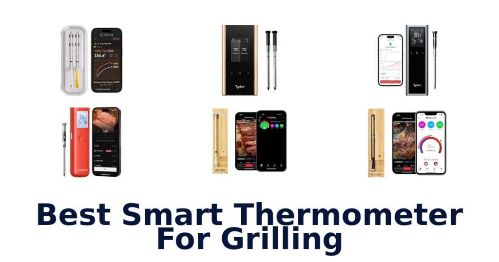 best smart thermometer for grilling