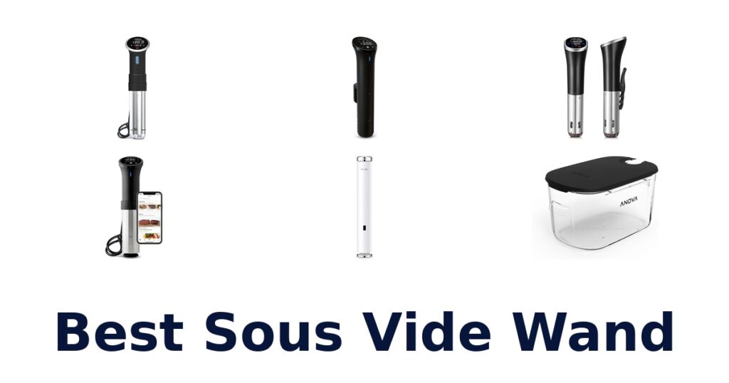 best sous vide wand