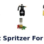 best spritzer for bbq