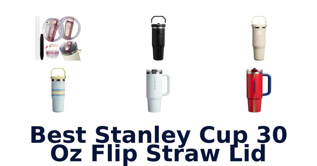 best stanley cup 30 oz flip straw lid