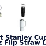 best stanley cup 30 oz flip straw lid