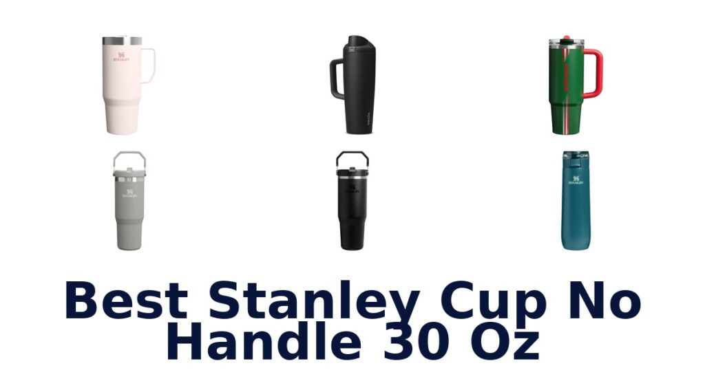 best stanley cup no handle 30 oz