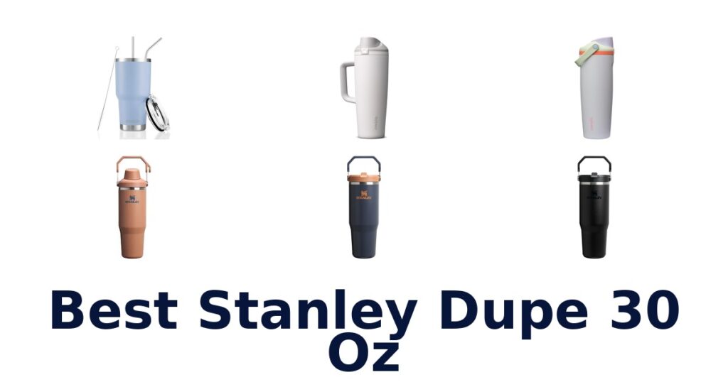 best stanley dupe 30 oz