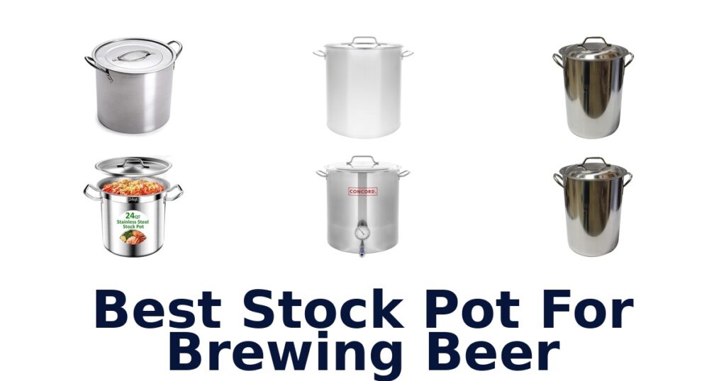 best stock pot for brewing beer