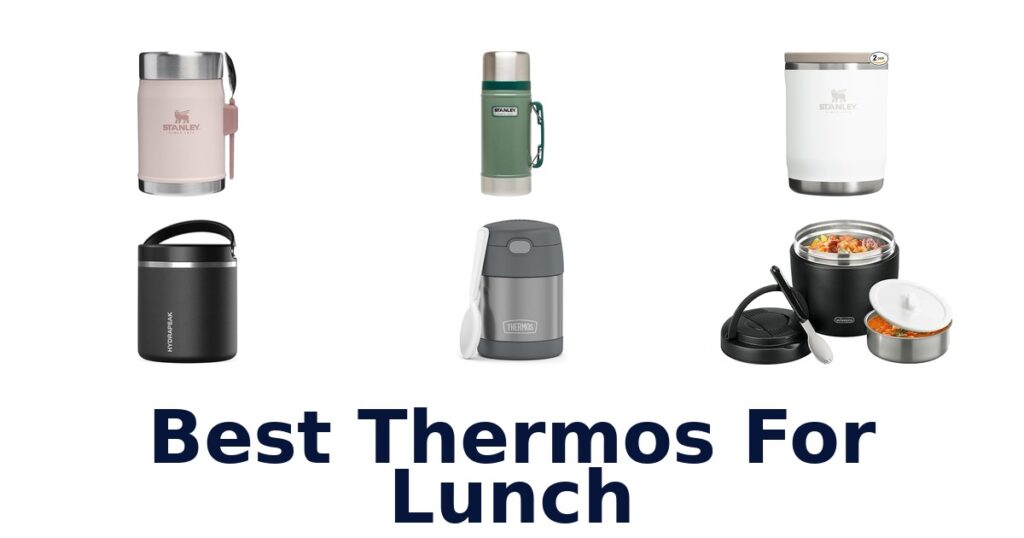 best thermos for lunch