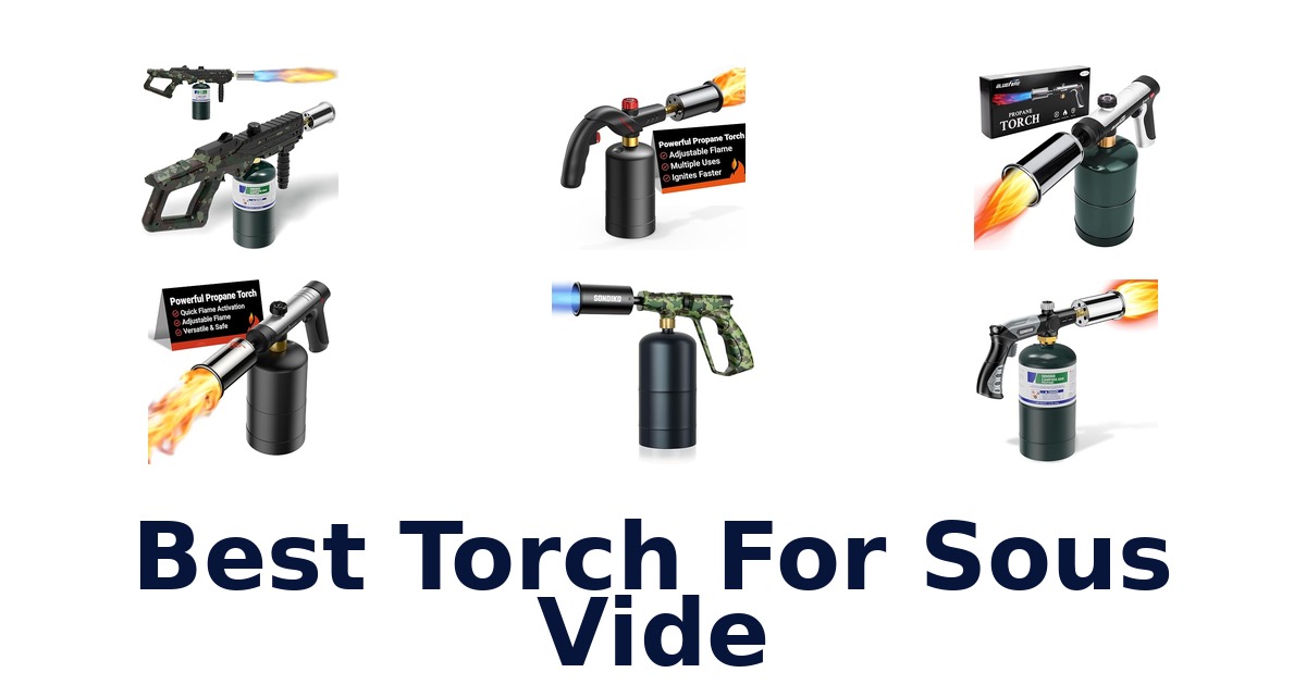 best torch for sous vide