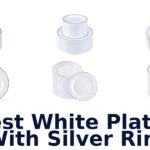 best white plates with silver rim