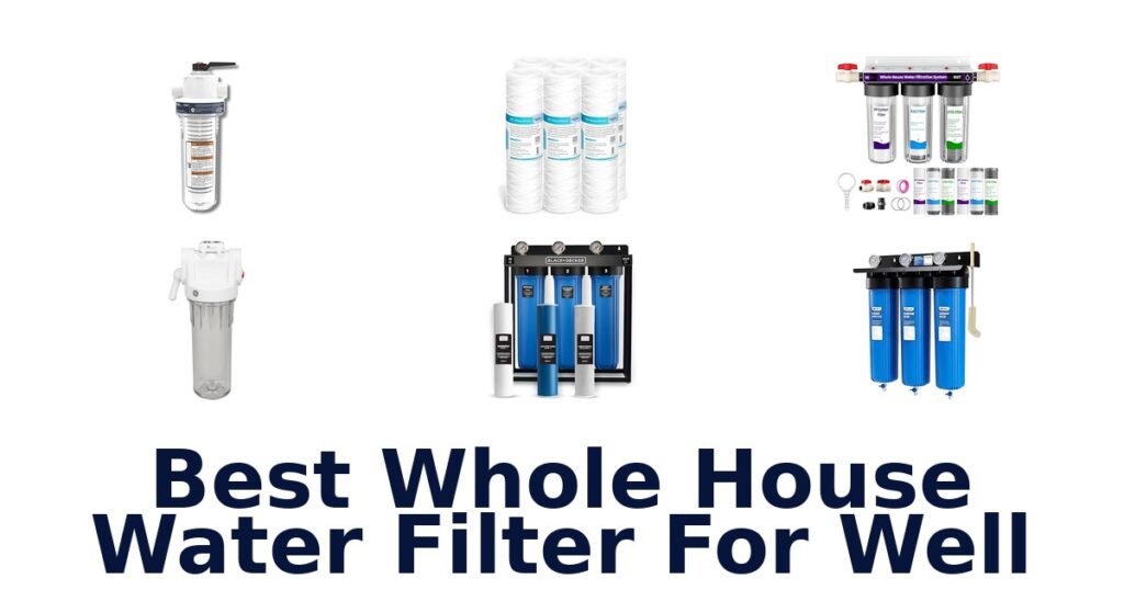 best whole house water filter for well