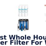 best whole house water filter for well