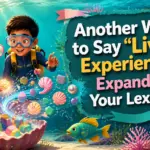 another way to say lived experience