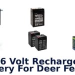 Best 6 Volt Rechargeable Battery For Deer Feeder