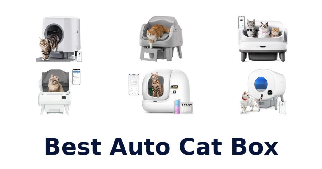 Best Auto Cat Box