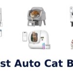 Best Auto Cat Box