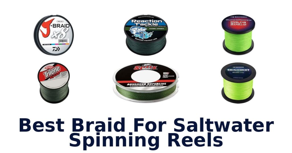 Best Braid For Saltwater Spinning Reels