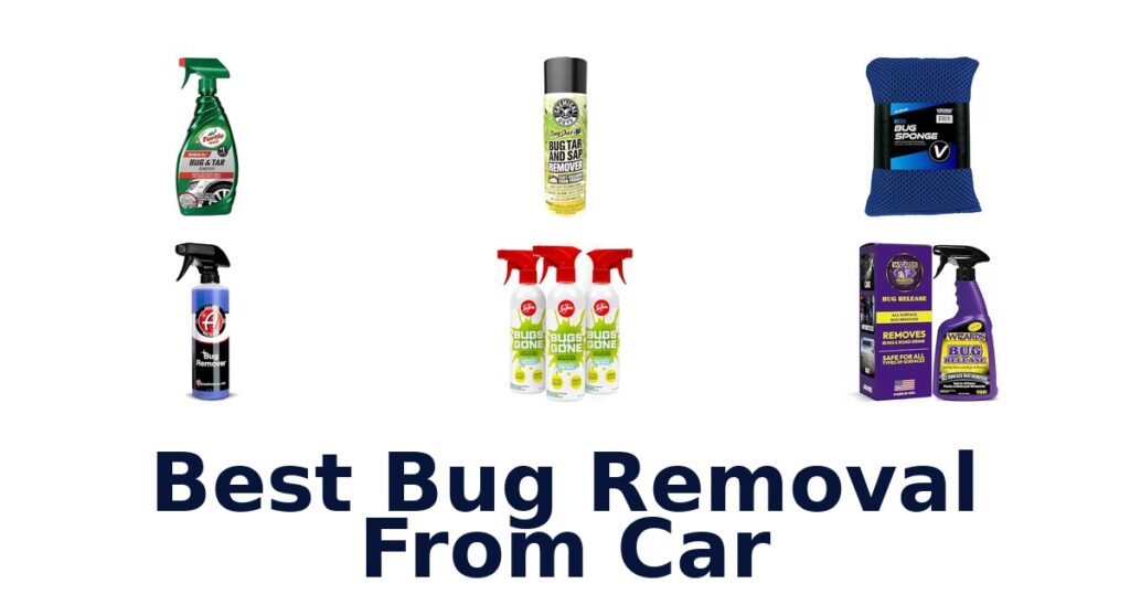 Best Bug Removal From Car