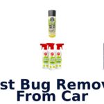 Best Bug Removal From Car