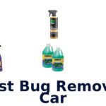 Best Bug Remover Car