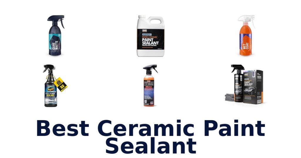 Best Ceramic Paint Sealant