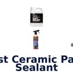 Best Ceramic Paint Sealant