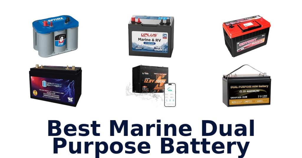 Best Marine Dual Purpose Battery