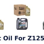 Best Oil For Z125 Pro