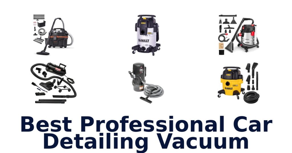 Best Professional Car Detailing Vacuum